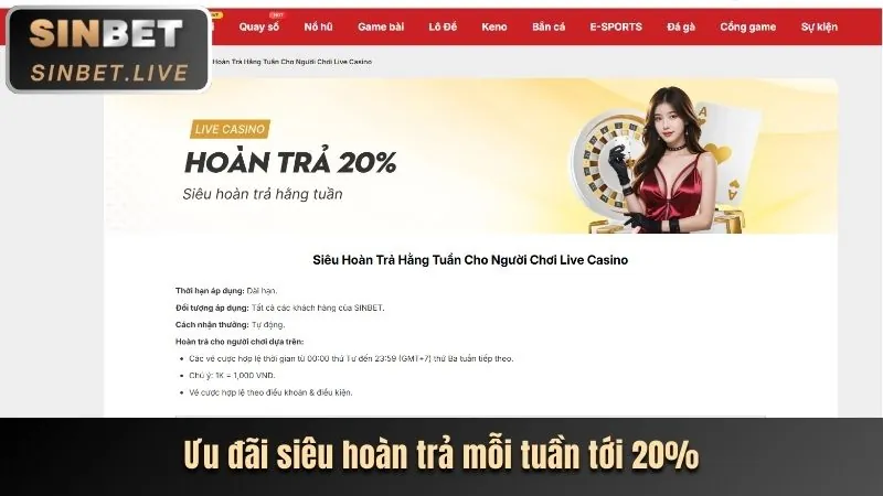 Sứ mệnh và tầm nhìn của mibet casino